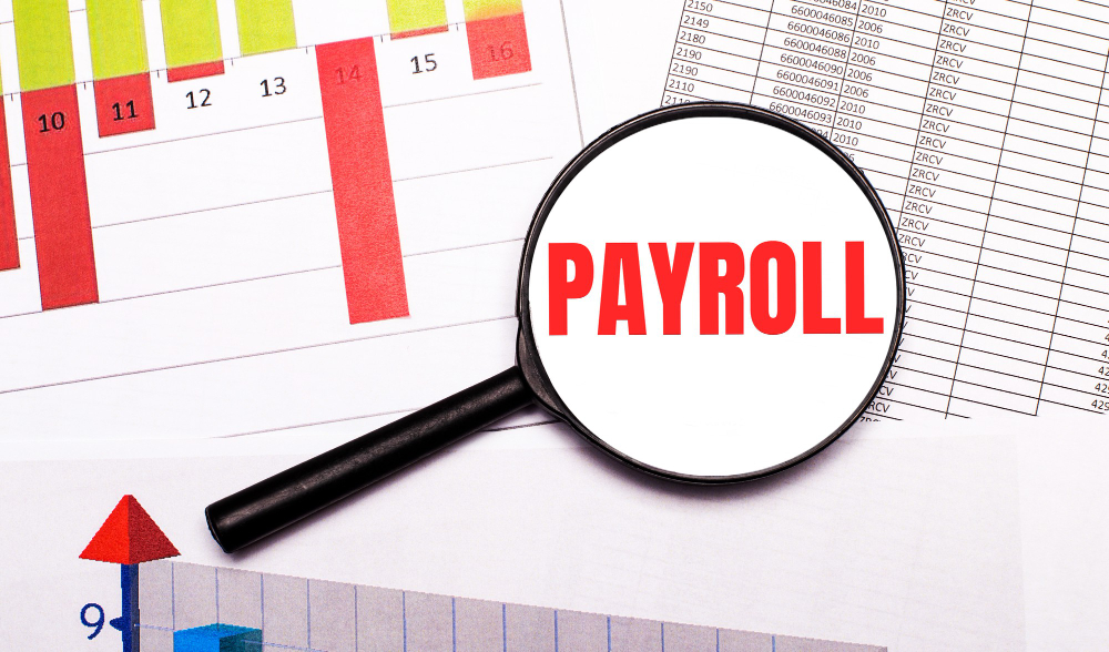 payroll adalah