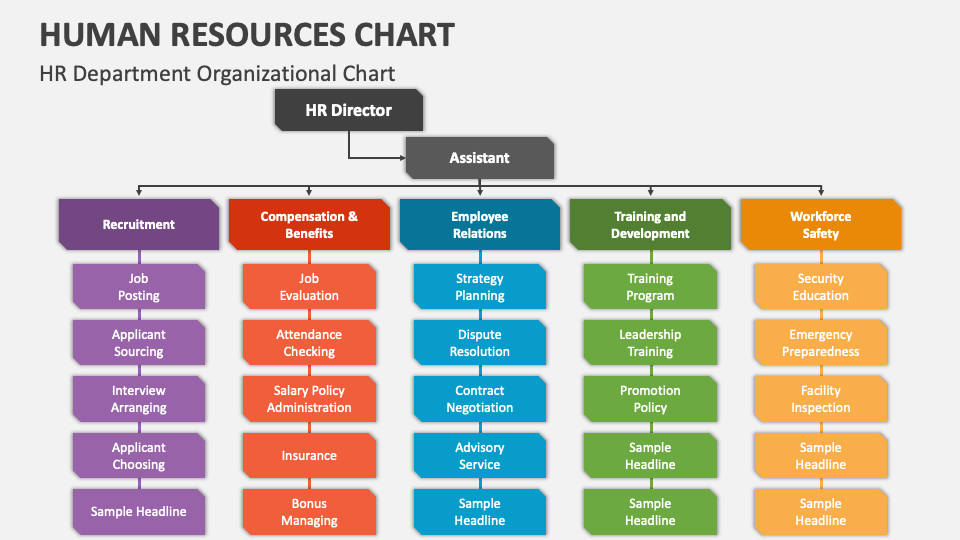 bagan organisasi hr department