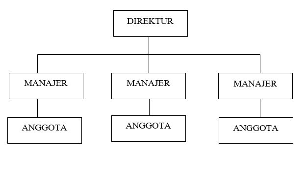 Contoh Struktur Organisasi Lini