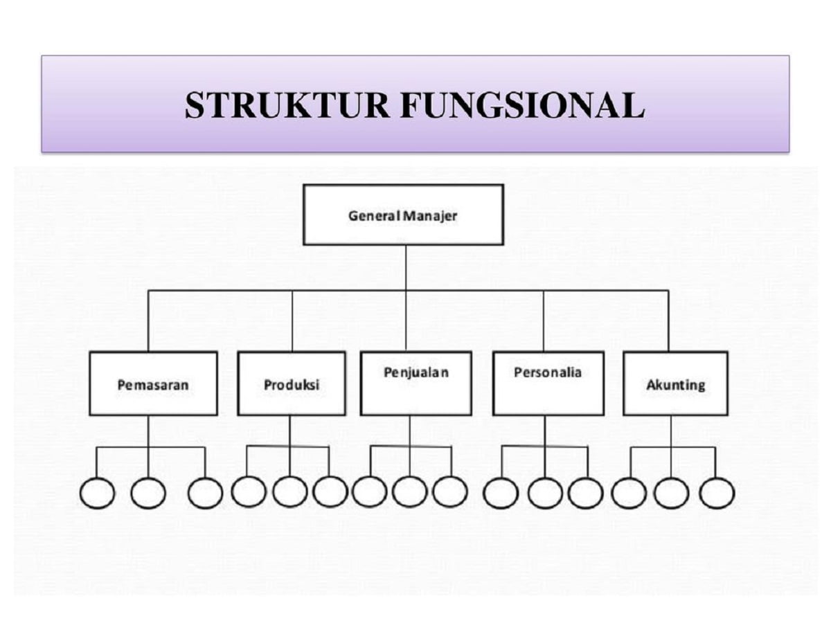 Contoh Struktur Organisasi Fungsional