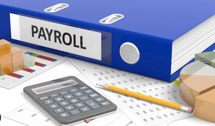 payroll variance