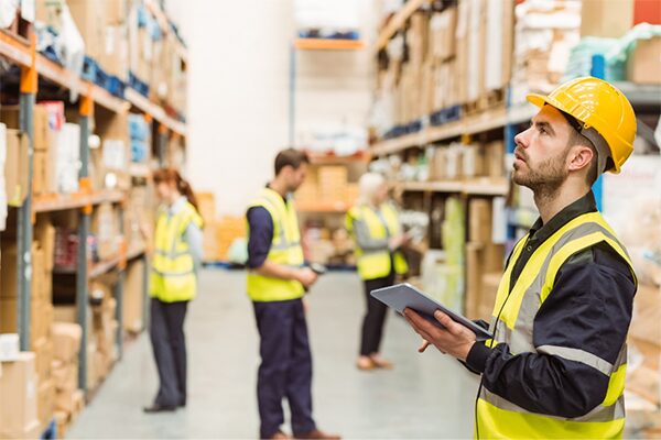 Apa Itu Supply Chain Staff